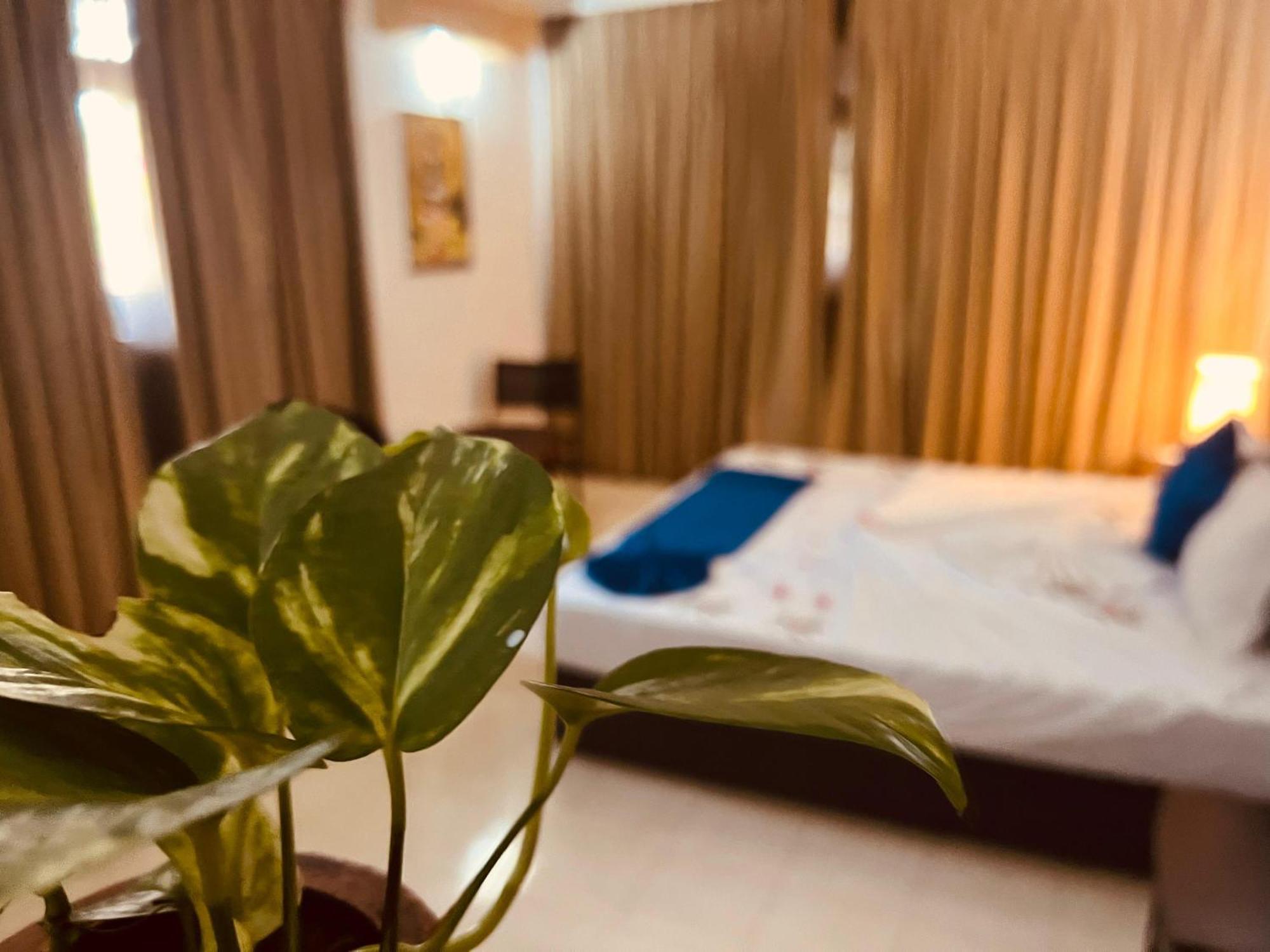 Ocean Beauty Guest House Negombo Buitenkant foto